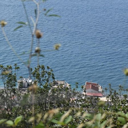 شقة Casa Vacanze Luna يتوجاني المظهر الخارجي الصورة